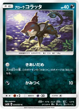 アローラコラッタ