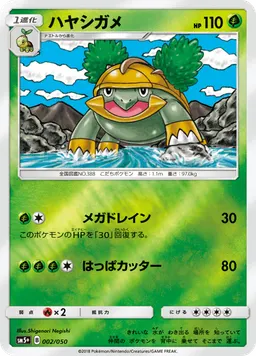 ハヤシガメ