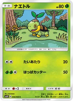 ナエトル