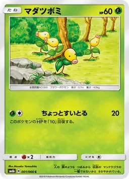 マダツボミ