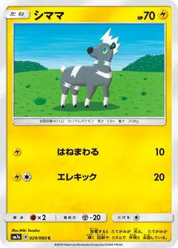 シママ