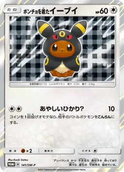 ポンチョを着たイーブイ