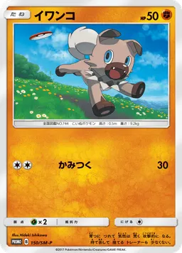 イワンコ