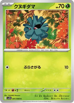 クヌギダマ