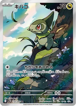 キバゴ