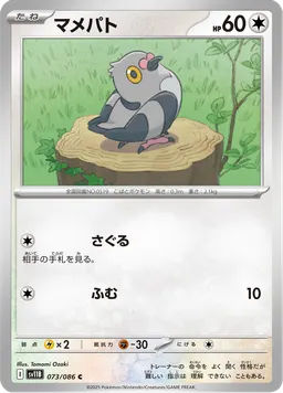 マメパト