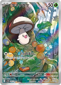 タマゲタケ