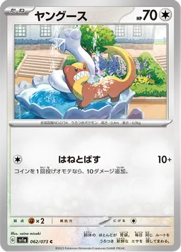 ヤングース