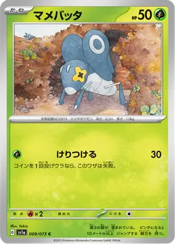 マメバッタ