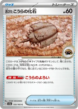古びたこうらの化石