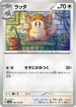 ラッタ