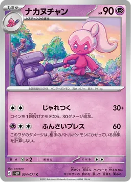 ナカヌチャン