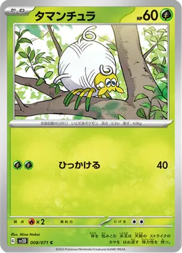 タマンチュラ