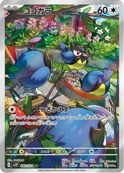 ココガラ