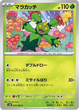 マラカッチ