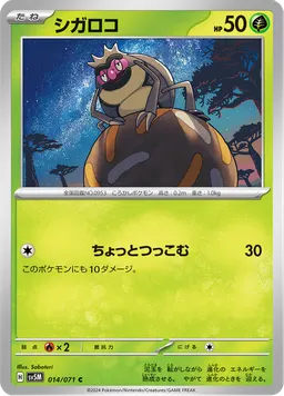シガロコ