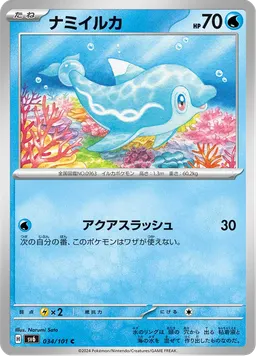 ナミイルカ