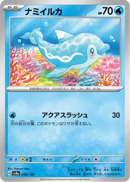 ナミイルカ