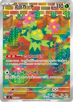 マラカッチ