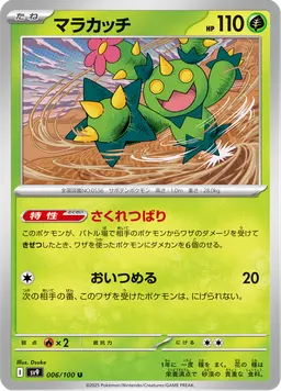 マラカッチ