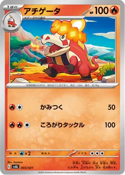 アチゲータ