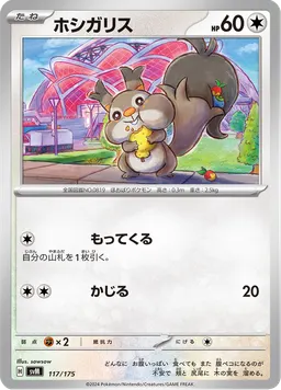 ホシガリス