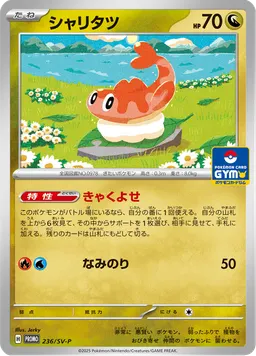 シャリタツ