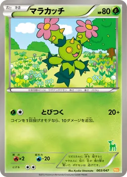 マラカッチ
