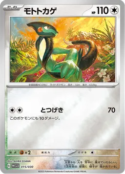 モトトカゲ