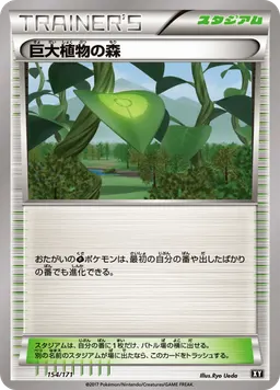 巨大植物の森