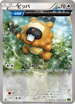 ビッパ