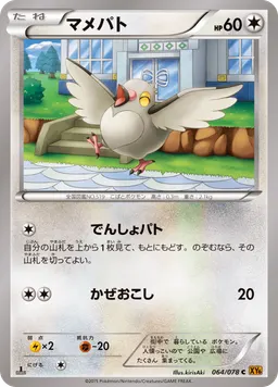 マメパト