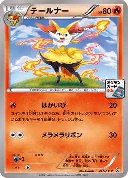 テールナー