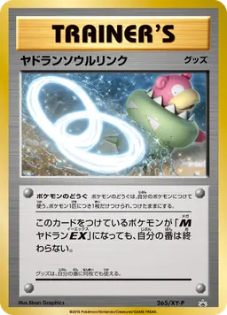 ヤドランソウルリンク